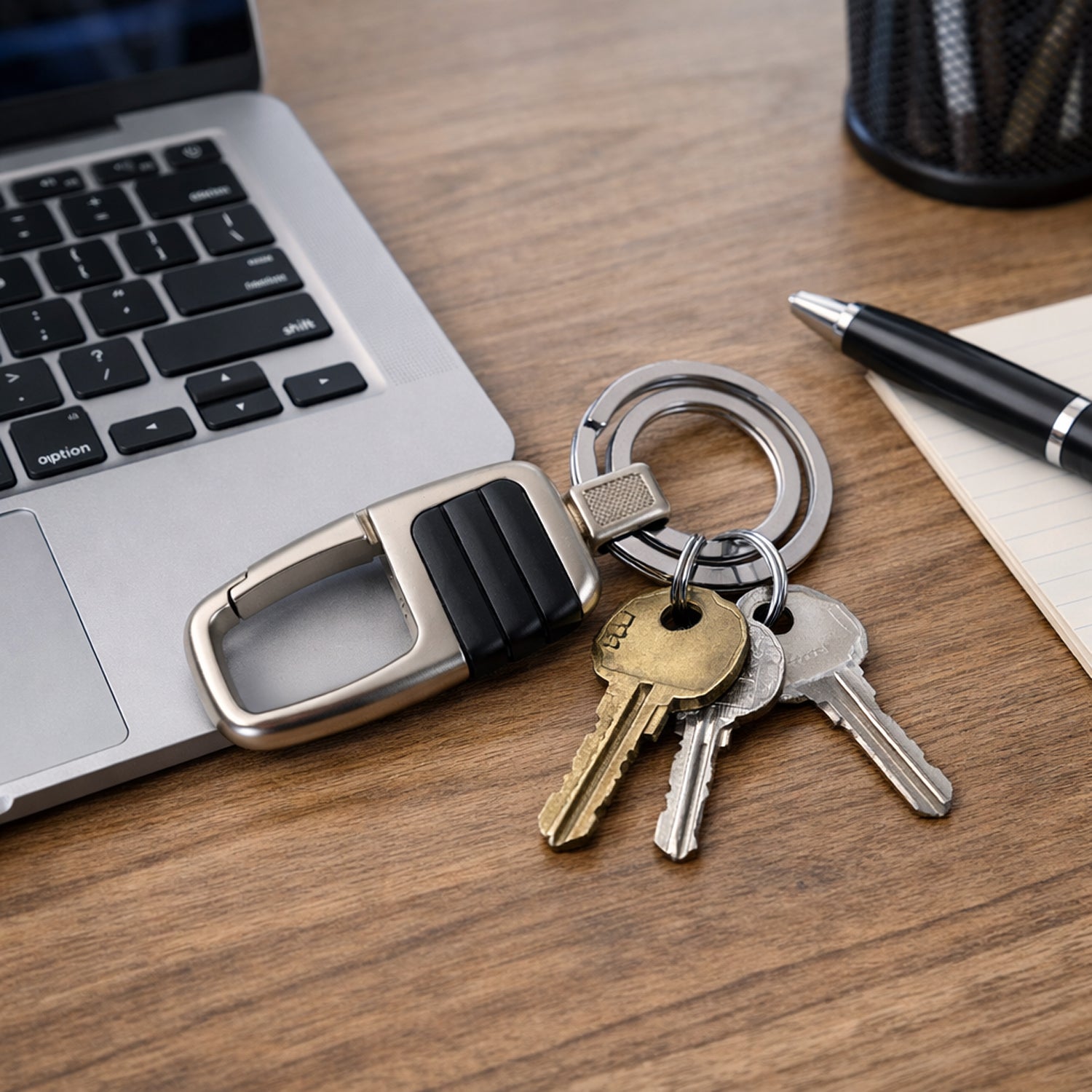 Premium Metal Key Holder With Carabiner Clip (1 Pc)
