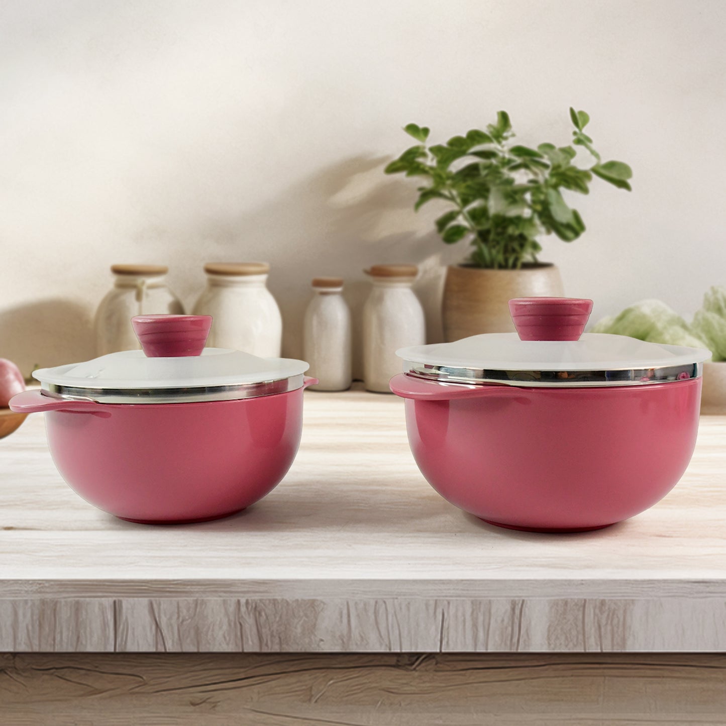 Apex Premium Plastic Serving Bowl Set With Lids (2 Pc)
