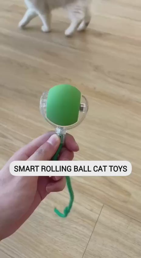 Interactive Electric Automatic Rolling Moving Rechargeable Self Play Stimulation Toy for Cats and Small Dogs - Smart Pet Chase Ball with Speedy Tail Rope for Indoor Multicolour